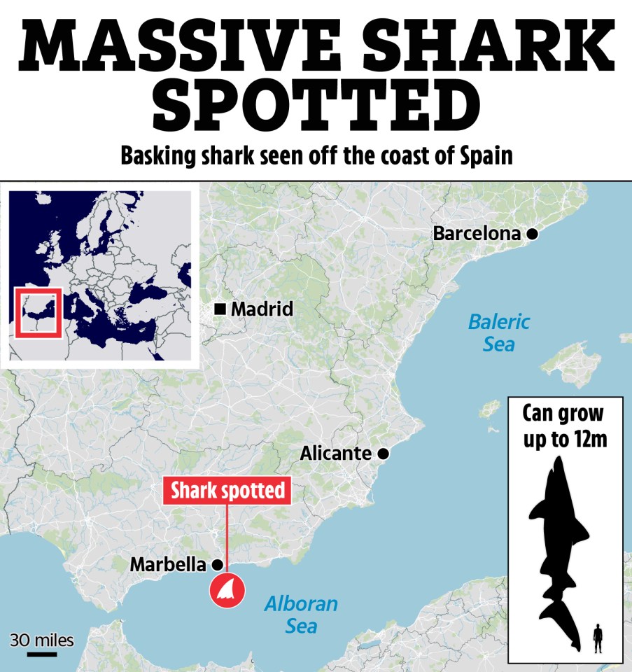 Illustration of map showing basking shark sighting off the coast of Spain.