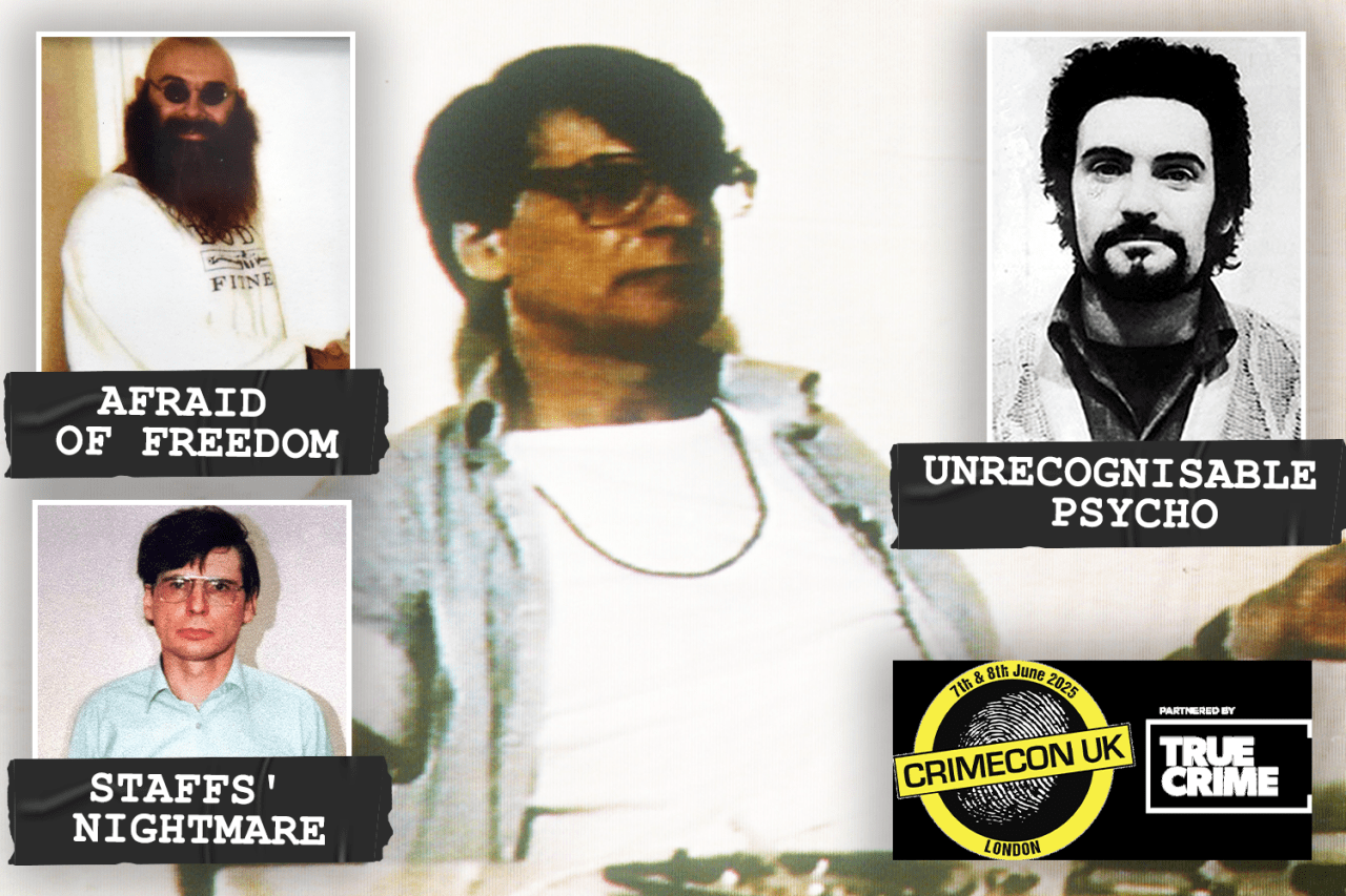 Collage of mugshots of criminals with text overlays.