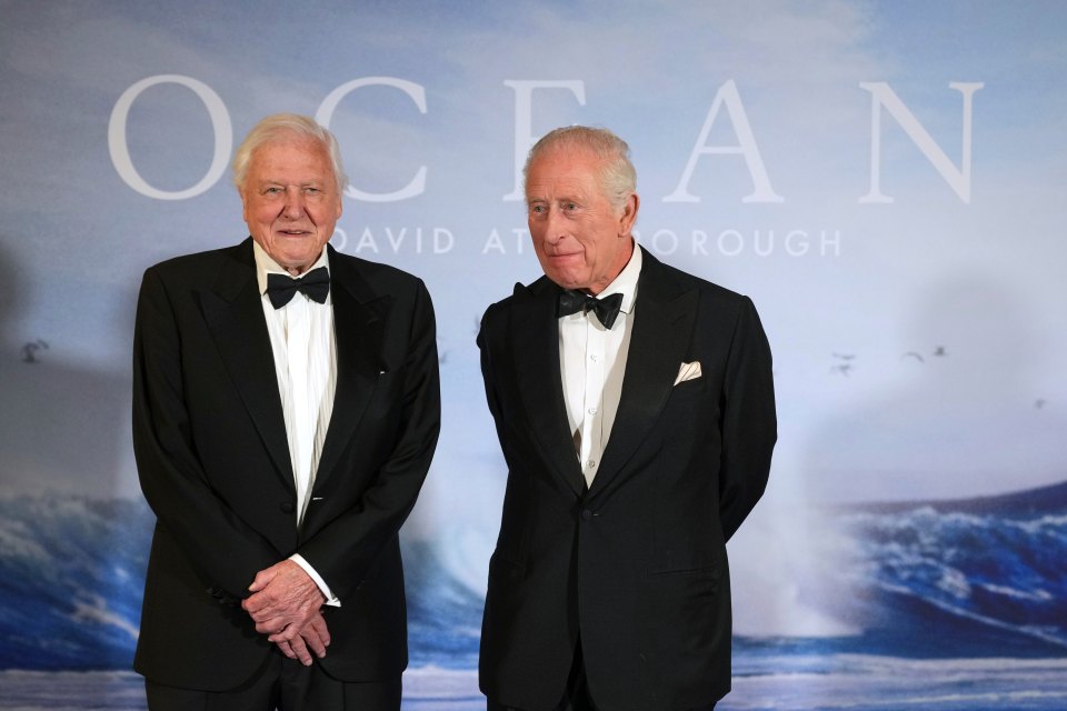 King Charles III and David Attenborough at a film premiere.