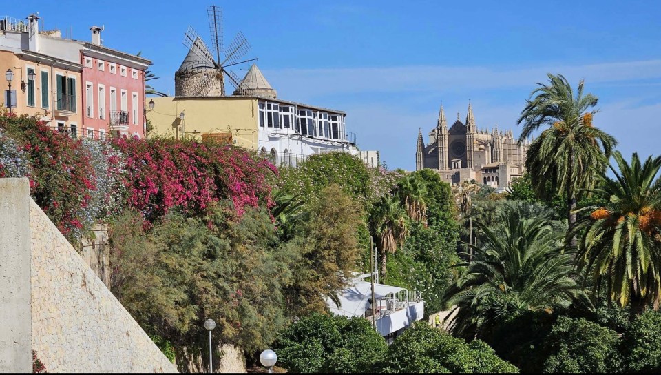 View of Palma de Mallorca, Spain, showing a windmill, buildings, and the Cathedral of Santa Maria of Palma in the background.