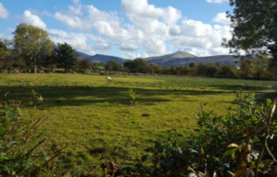Field with mountains in the background.