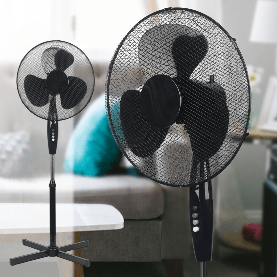 Black pedestal fan with three blades and mesh guard.