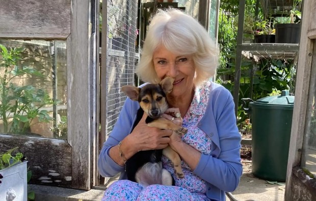 Camilla, Duchess of Cornwall, holding her new rescue dog, Moley.