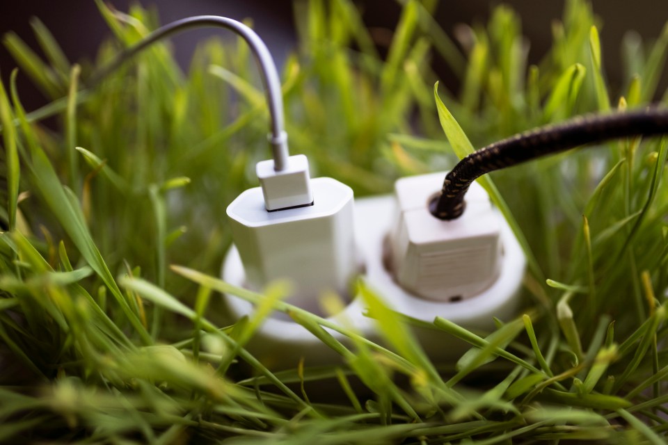 Extension cord and power adapters in grass.