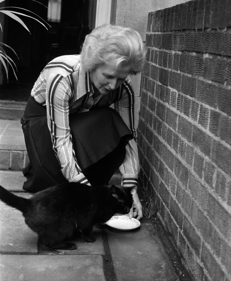 Margaret Thatcher kneeling and feeding a black cat.