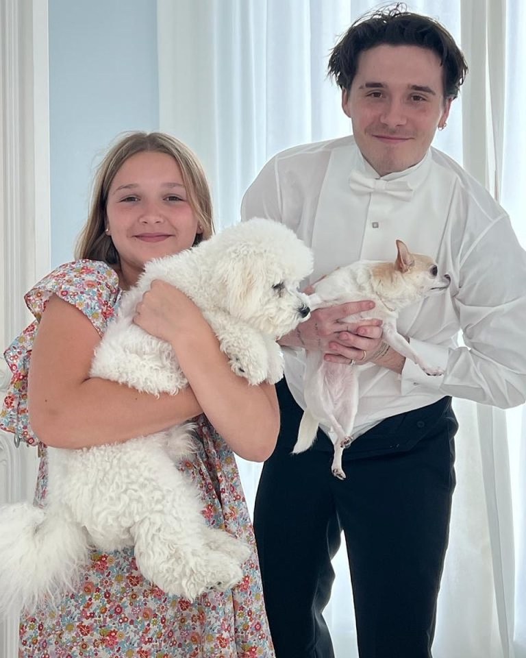 Girl and man holding small dogs.