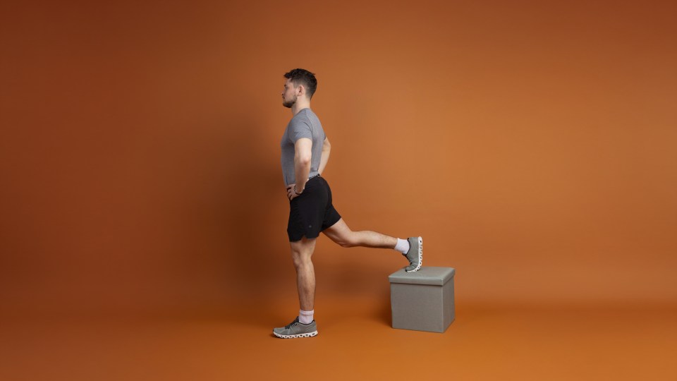 Man performing a leg raise exercise.