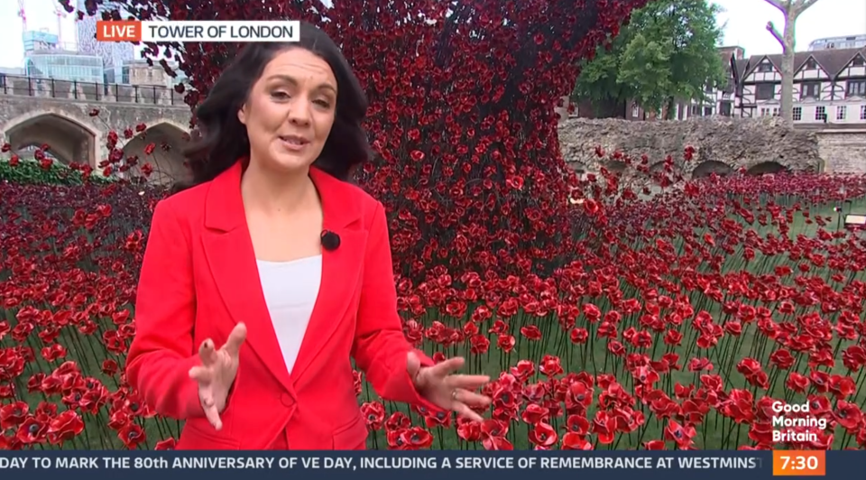 Good Morning Britain presenter at Tower of London poppy display.