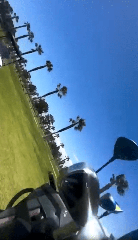 First-person view driving past palm trees.
