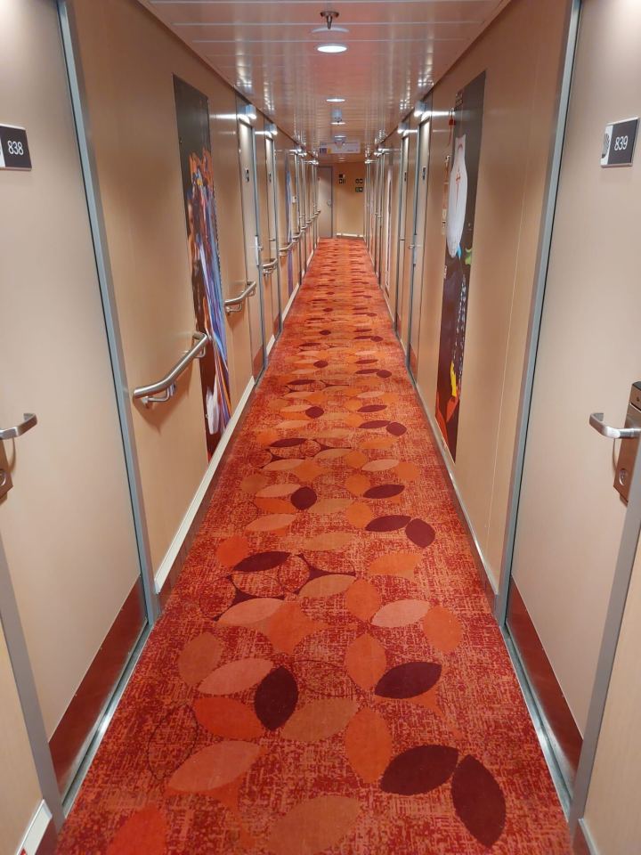 Ship hallway with orange leaf patterned carpet and numbered doors.
