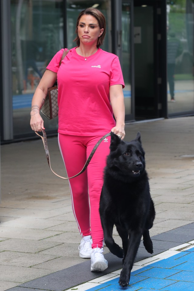 Katie Price walking her dog.