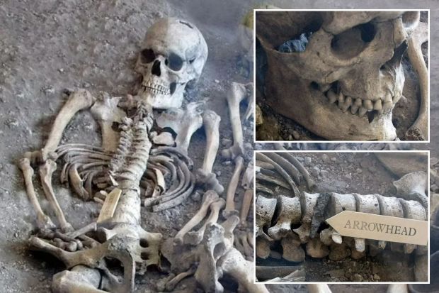 An image collage containing 3 images, Image 1 shows Two skeletons in a mass grave, Image 2 shows Skull and jawbone in a mass grave, Image 3 shows Arrowhead embedded in spine