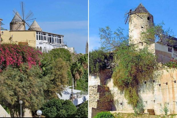 An image collage containing 2 images, Image 1 shows View of Palma de Mallorca, Spain, showing a windmill, buildings, and the Cathedral of Santa Maria of Palma in the background, Image 2 shows View of windmills in Palma, Majorca