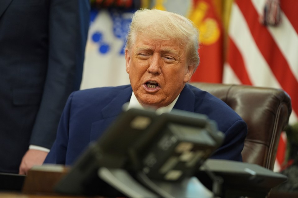 President Donald Trump on a phone call.