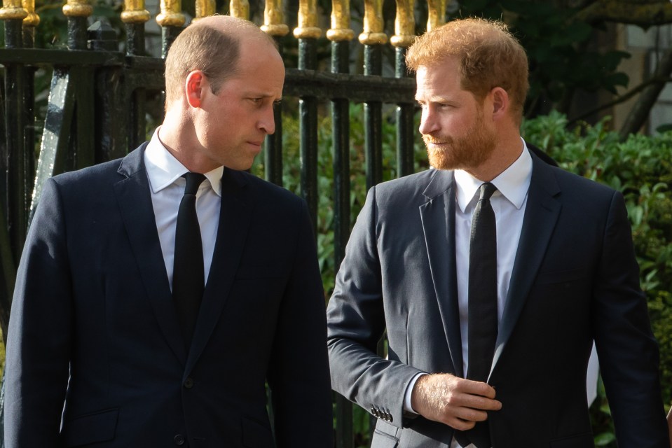 Prince William and Prince Harry viewing floral tributes to Queen Elizabeth II.