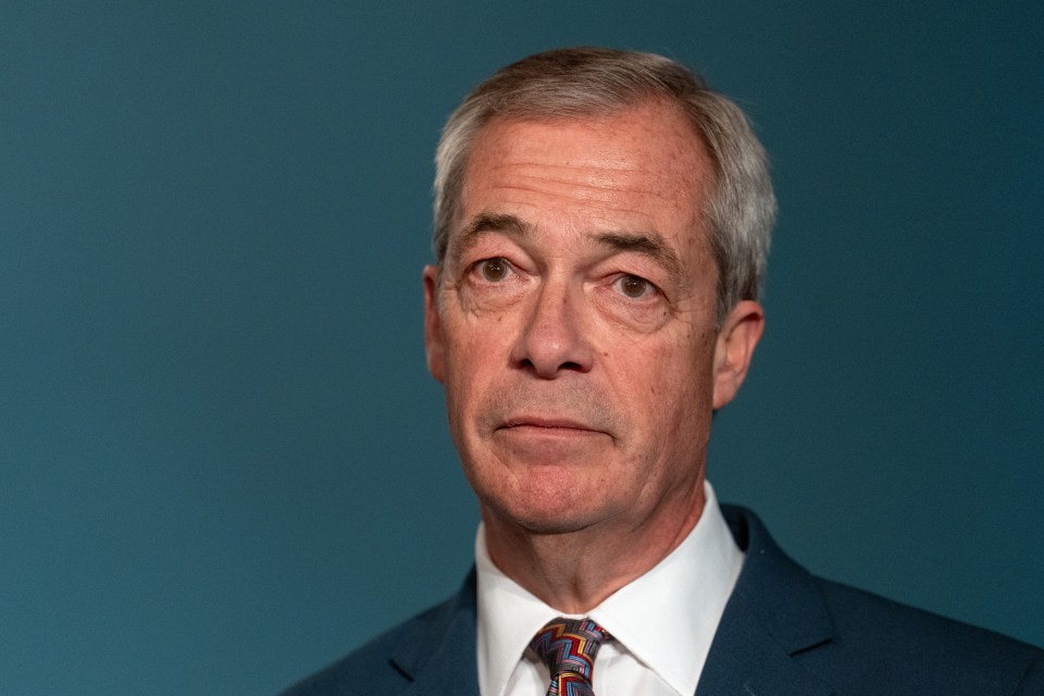 Headshot of Nigel Farage.