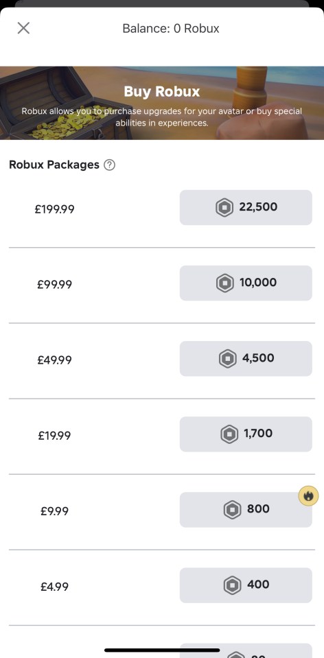 Roblox Robux purchase options.