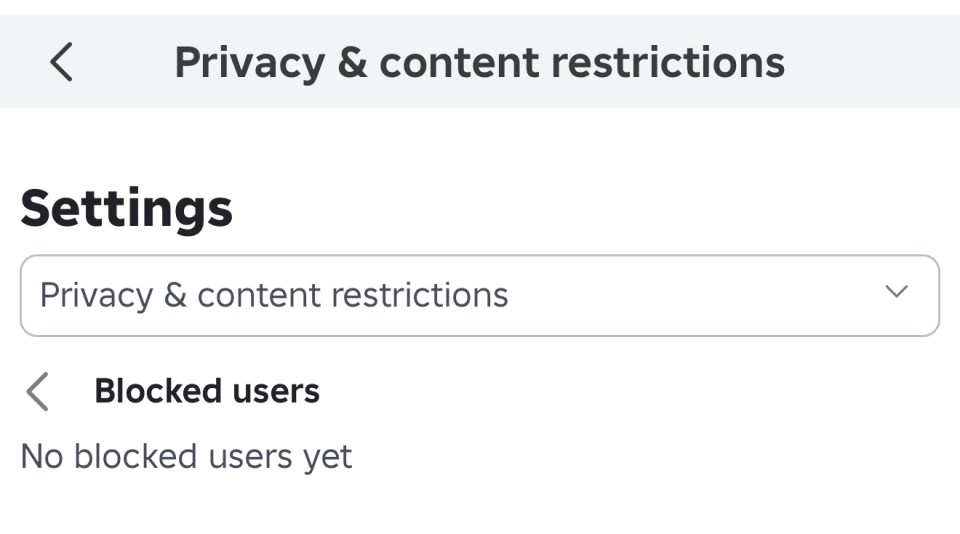 Roblox settings menu showing privacy and content restrictions and blocked users.