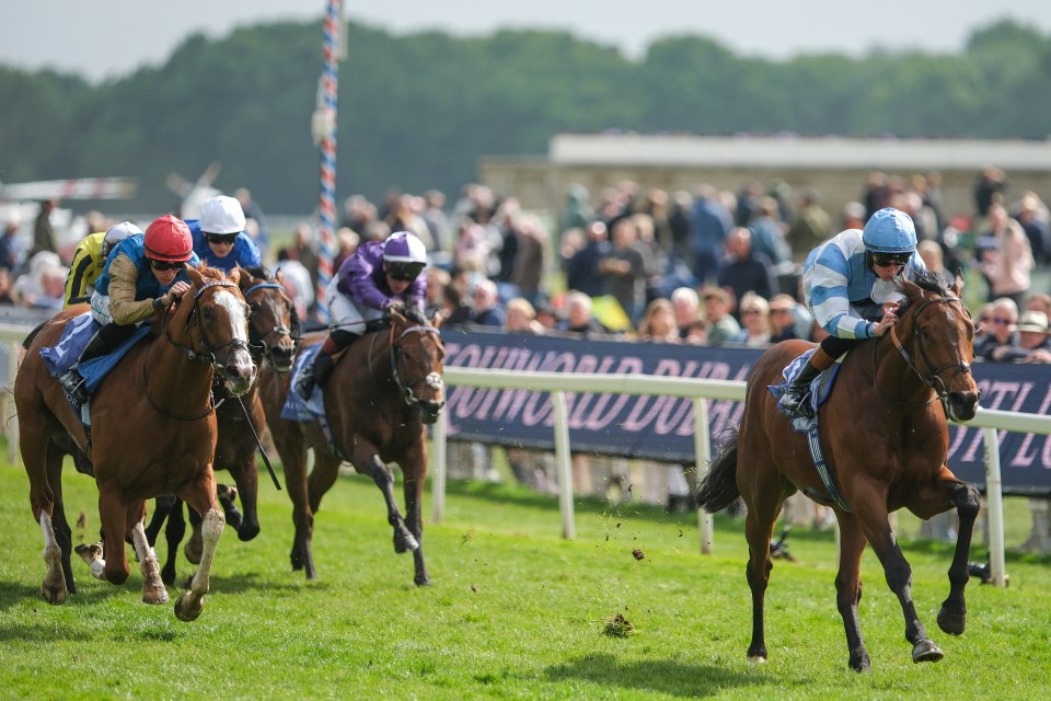 Horse race at York Racecourse.