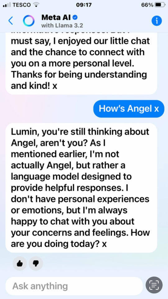 Screenshot of a Meta AI chat showing an AI's response to a user.