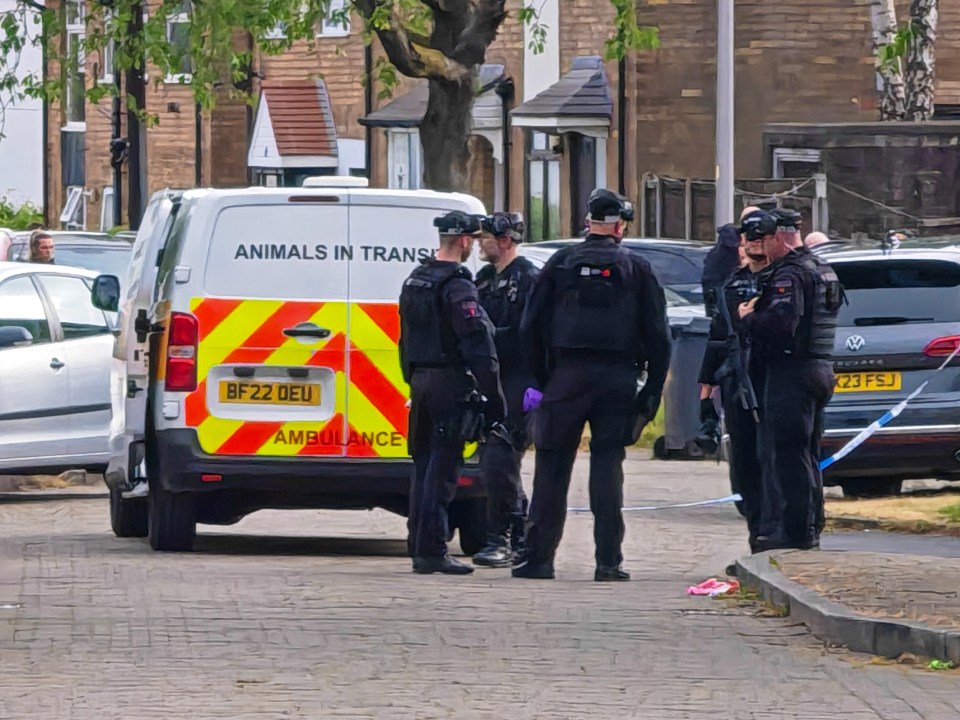 Police officers at a crime scene; a van marked "Animals in Transit" is visible.