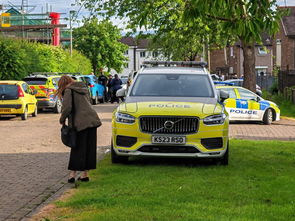 Police cars and a woman on a street that has been taped off following a dog attack.