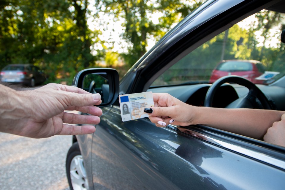 Teenager handing driver's license to police officer.