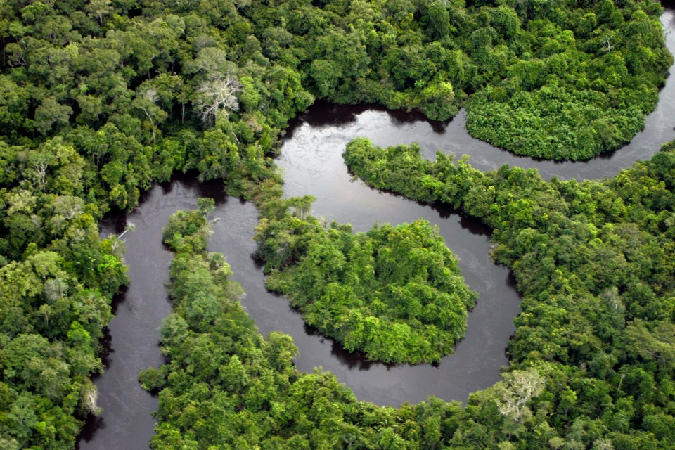 Aerial view of the Teles Pires River winding through the Amazon rainforest.