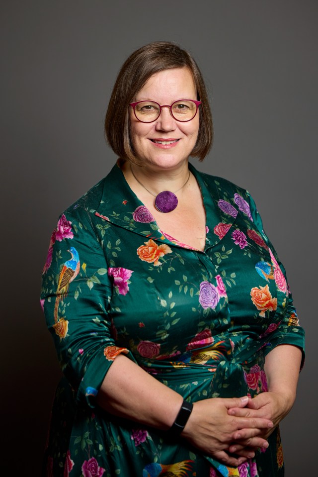 Portrait of Dame Meg Hillier, MP.