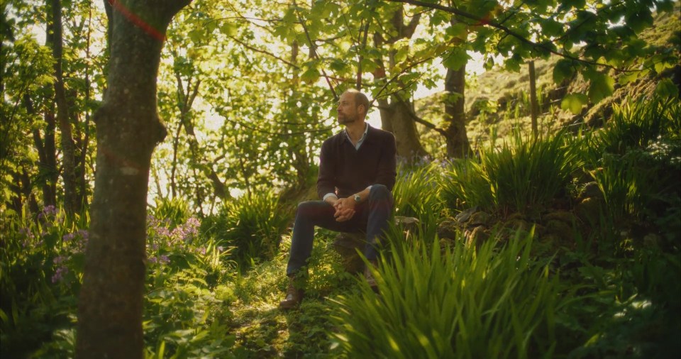 Man sitting in a sunlit forest.