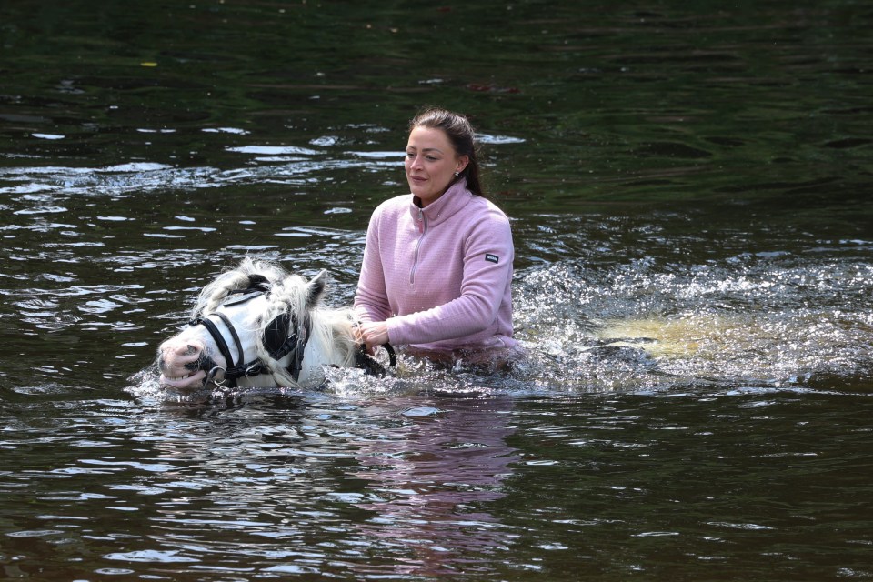 Woman and horse wading in a river.