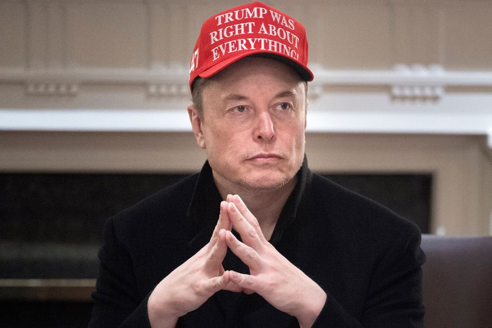Elon Musk at a cabinet meeting wearing a hat that reads "Trump Was Right About Everything".
