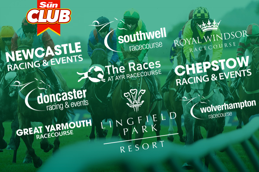 Collage of horse racing logos and horses racing.