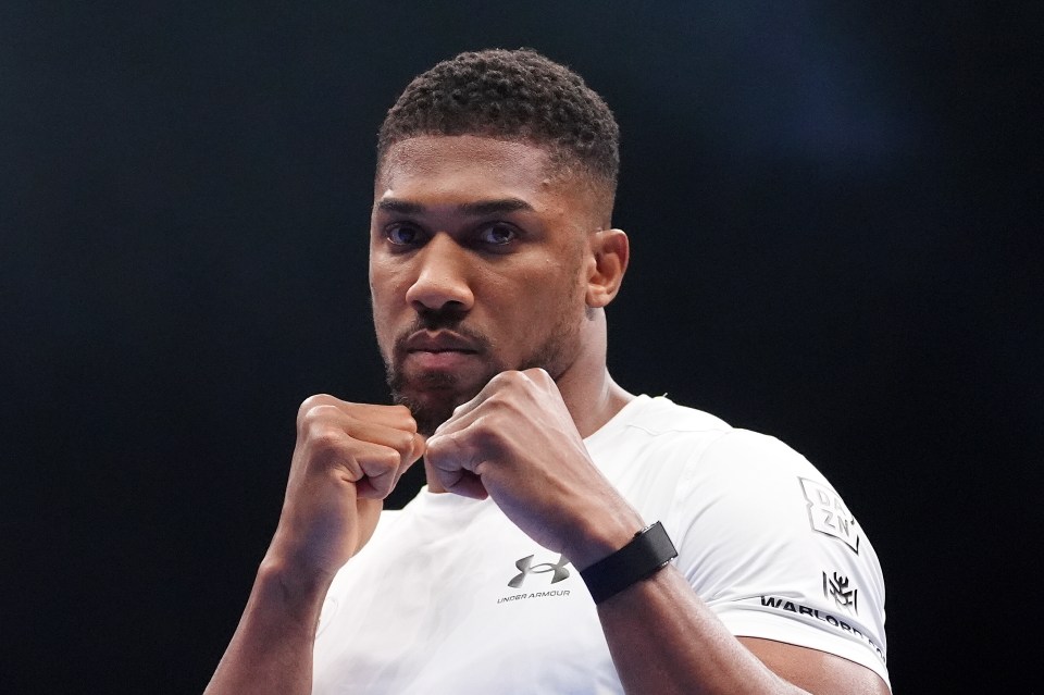 Anthony Joshua at an open workout.