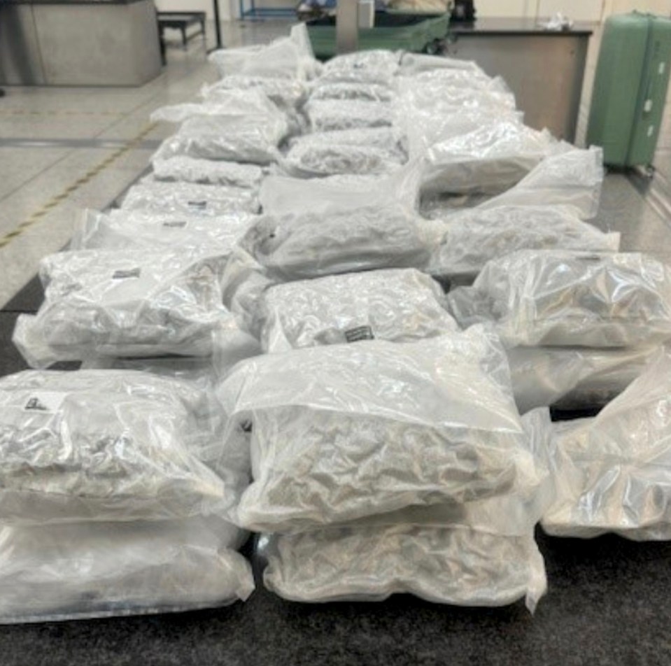 Seized cannabis packages at an airport.