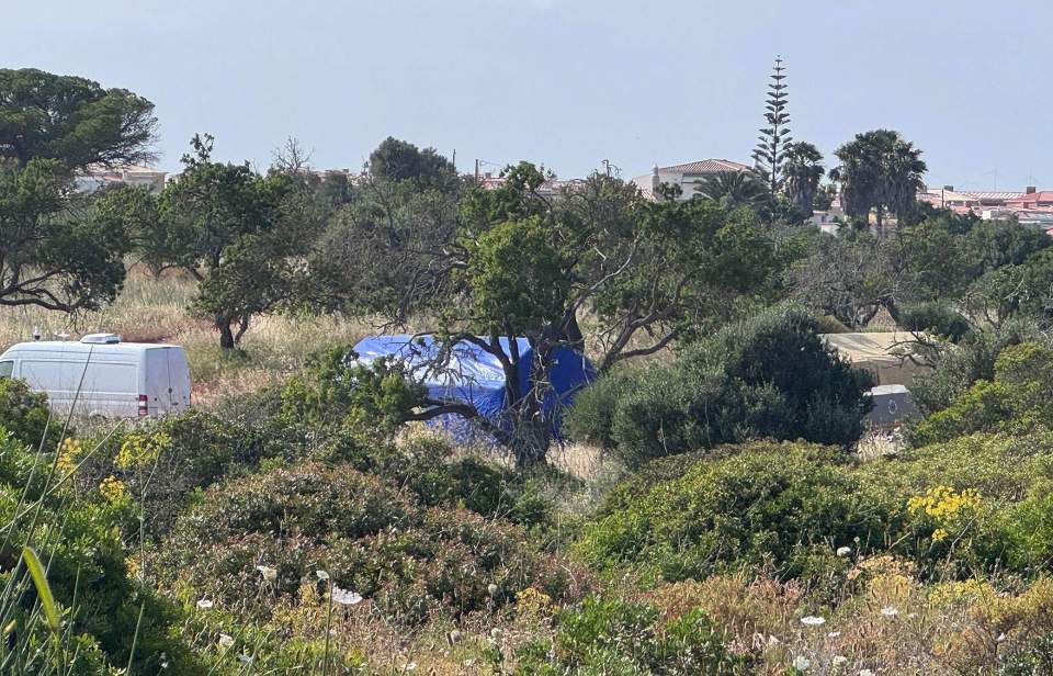 Police setting up a search area in a wooded area in Portugal.