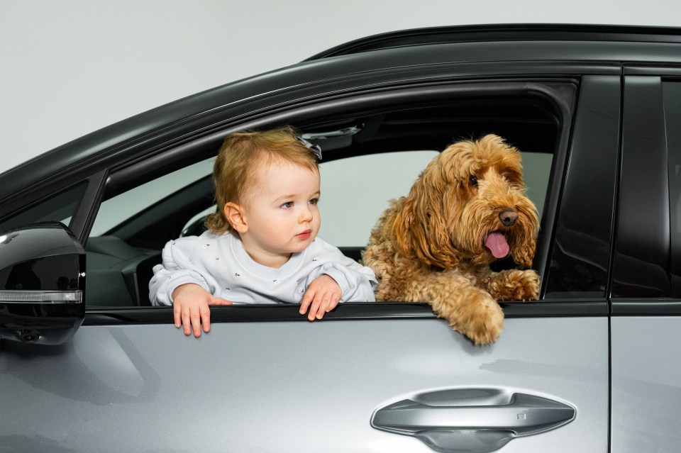 Toddler and dog looking out car window.